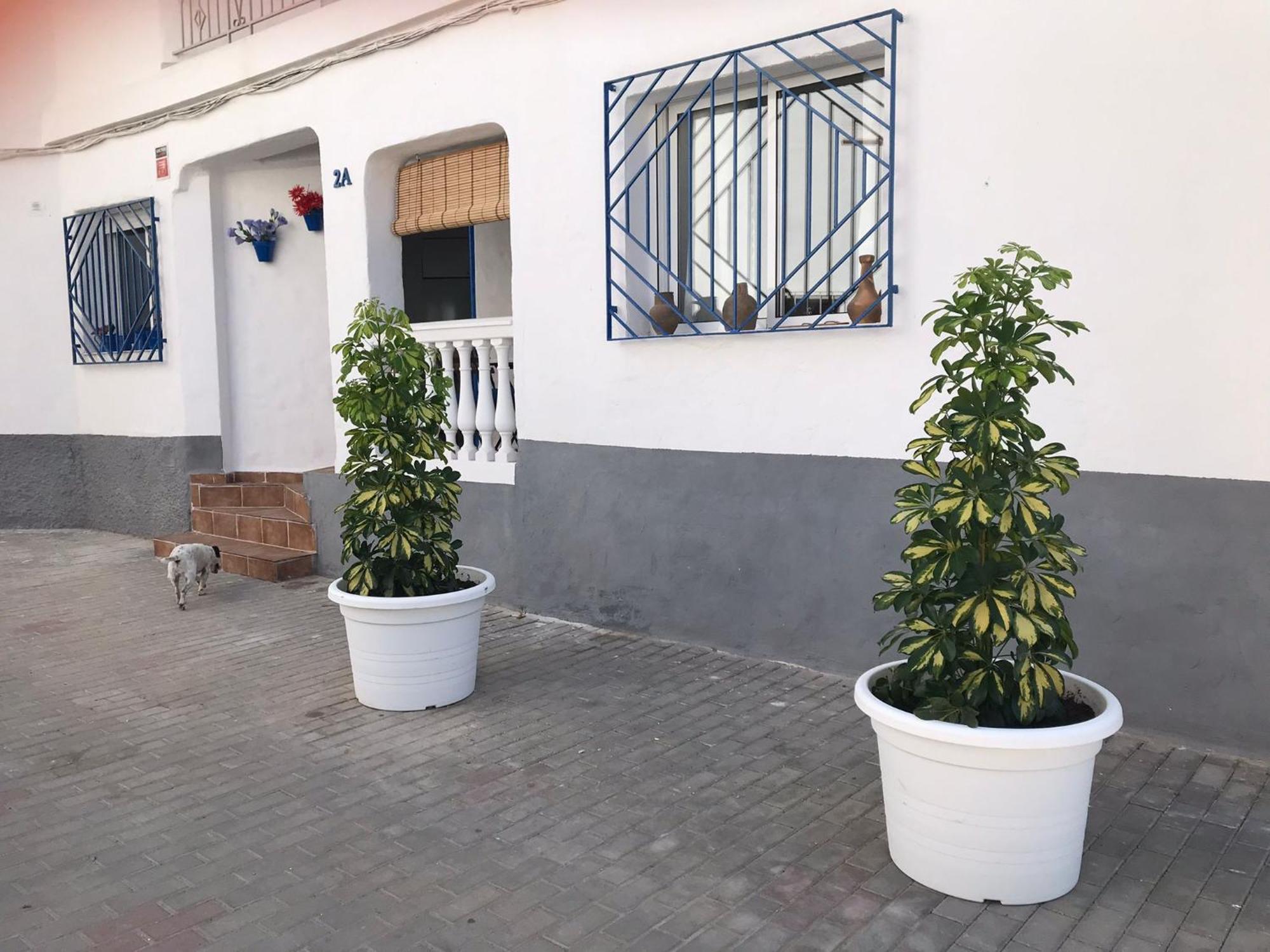 Apartamentos Lolitalola Holidays Salobreña Εξωτερικό φωτογραφία